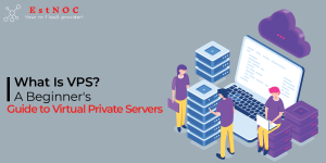 what-is-vps-hosting-complete-beginner-s-guide_1.png